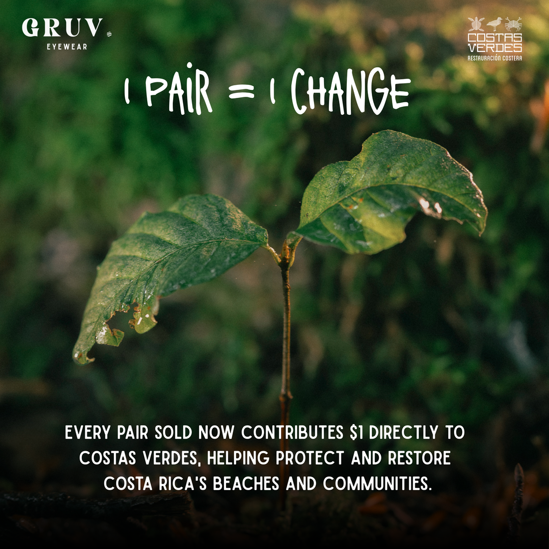 1 Pair = 1 Change