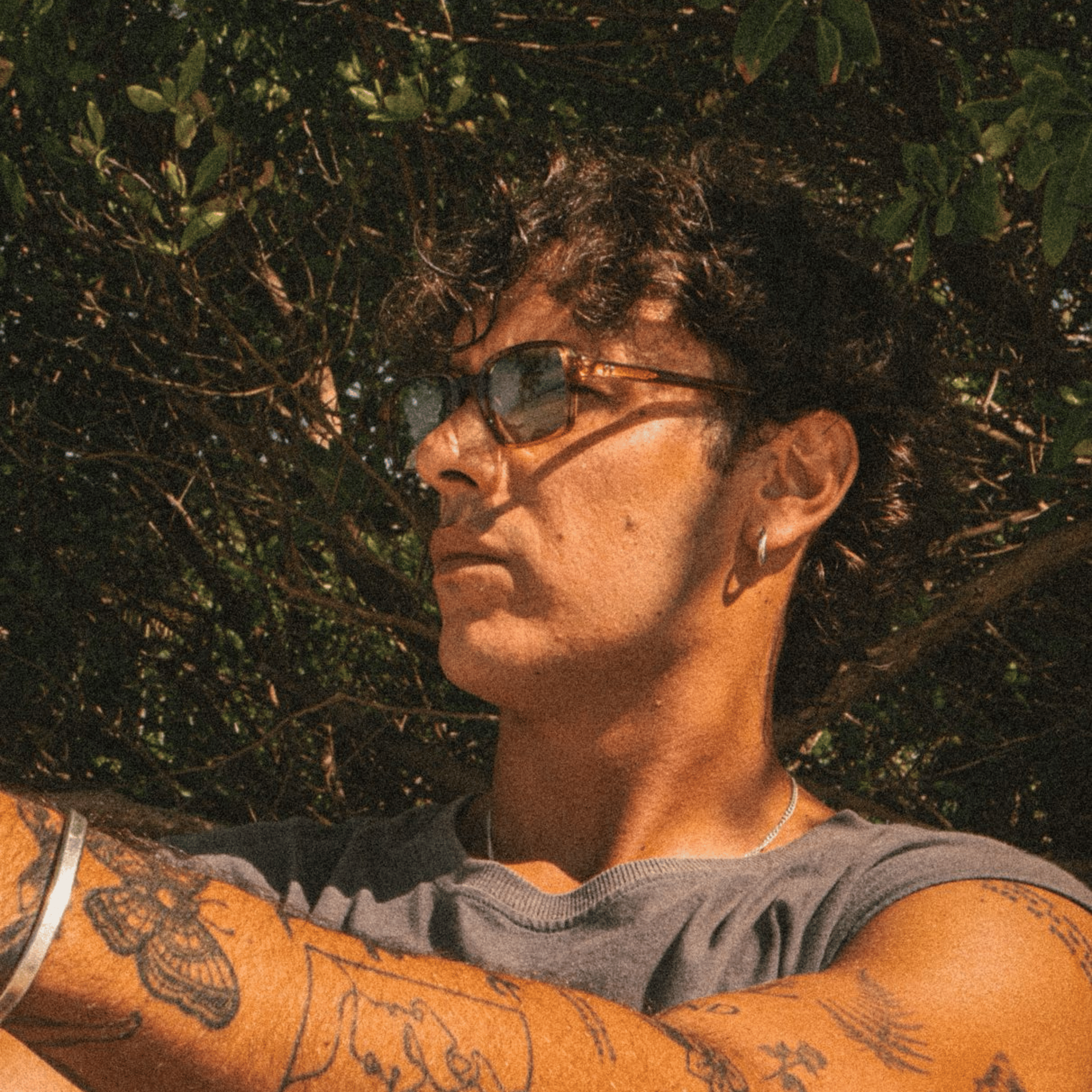 River - Brown Stripes