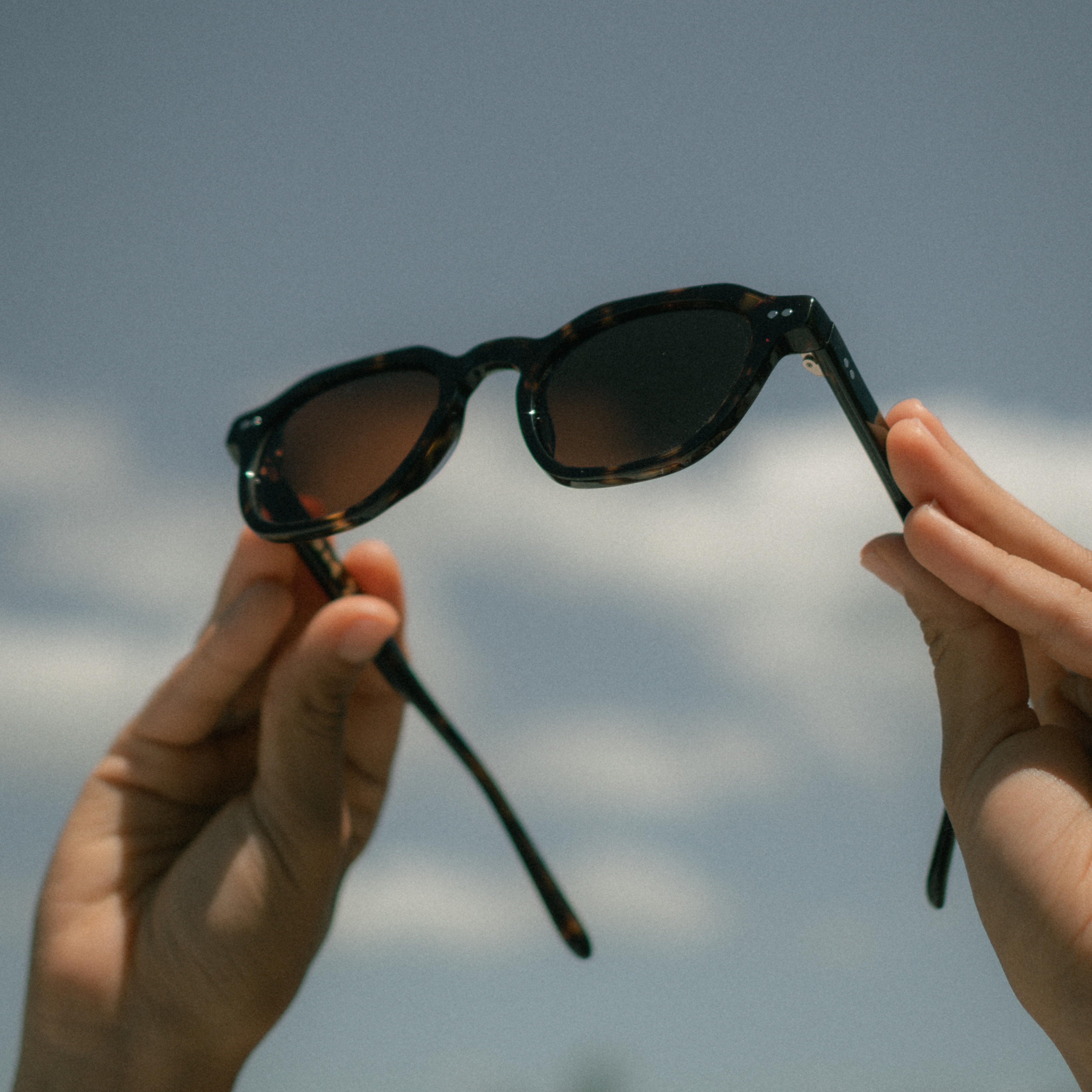 Rush Hour - Tortoise/Brown