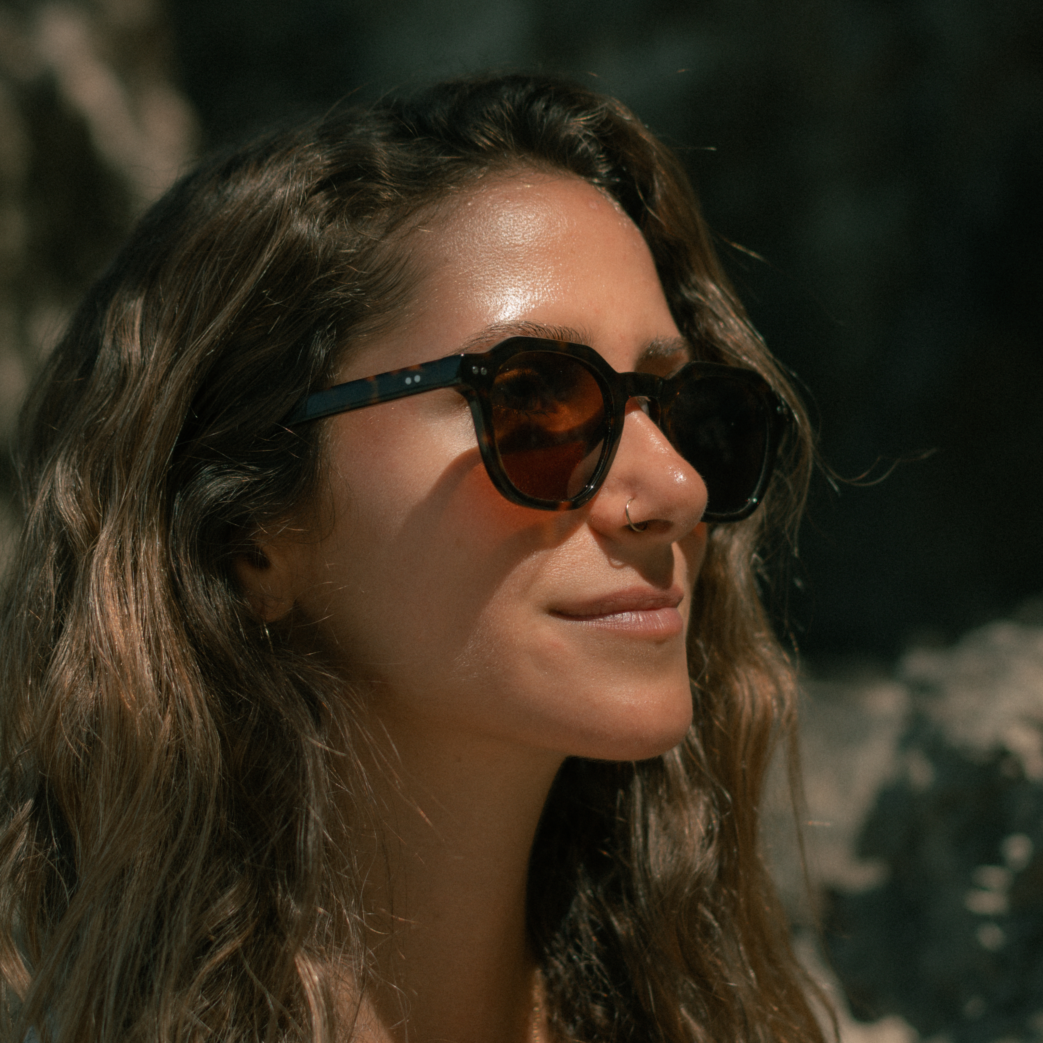 Rush Hour - Tortoise/Brown