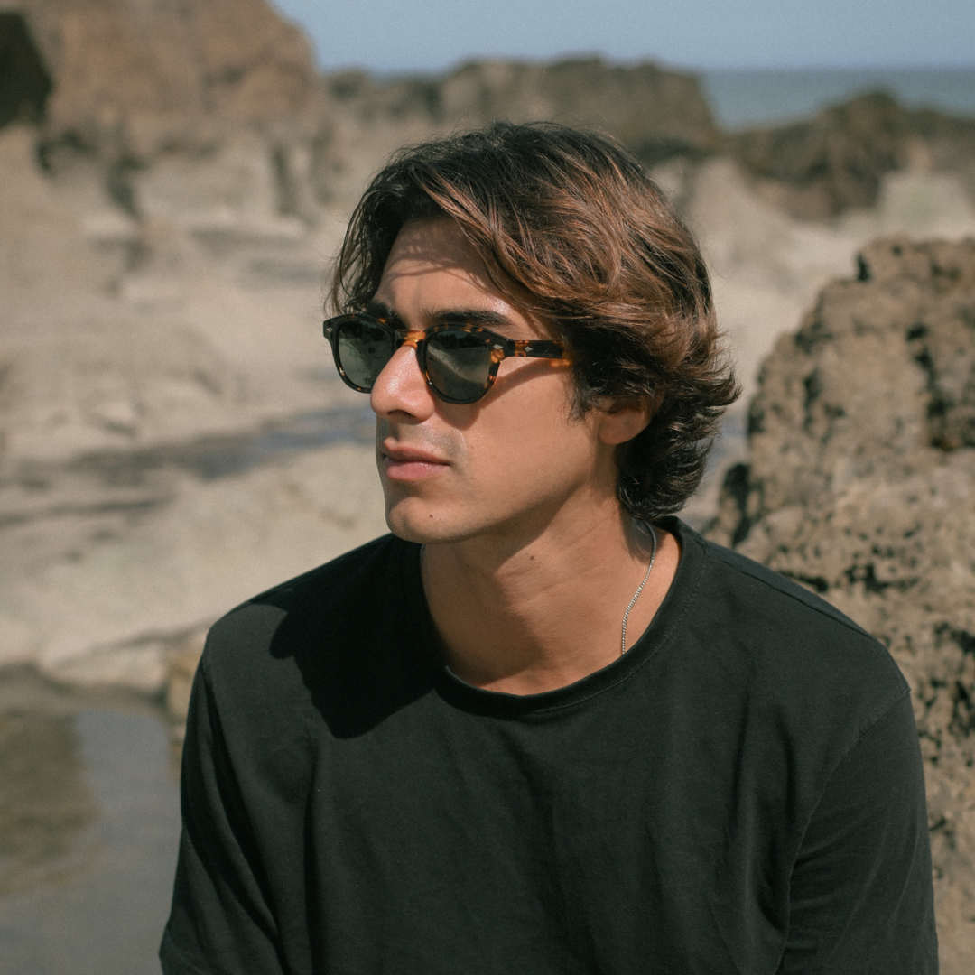 Evan - Tortoise