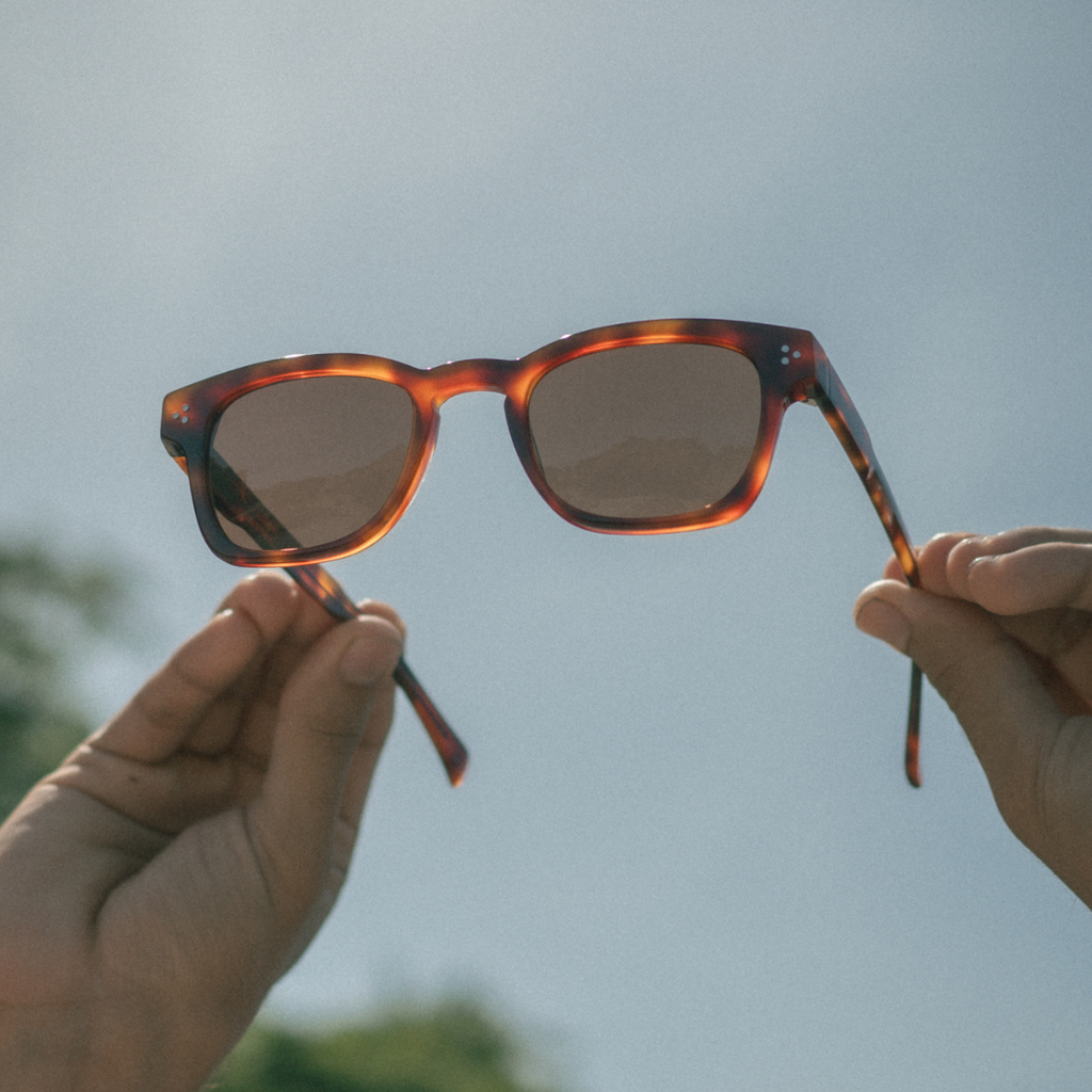 Rebel - Tortoise/Brown