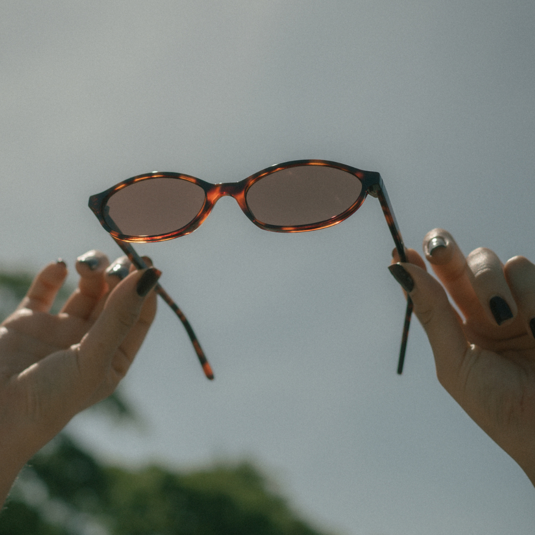 Pacifica - Tortoise/Brown